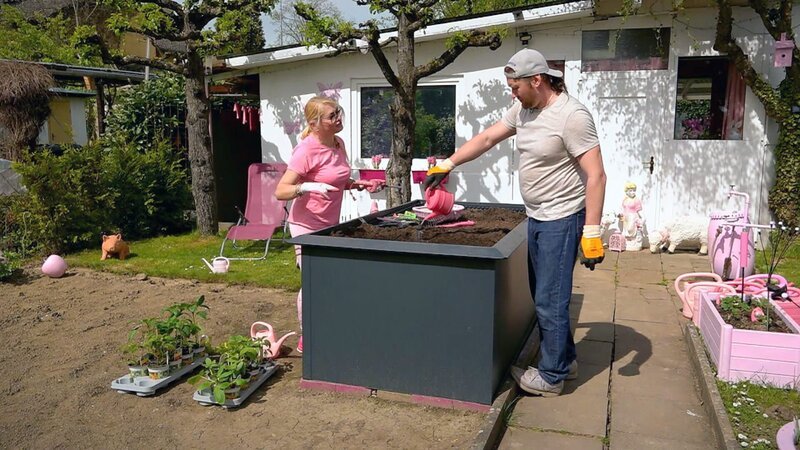 Bei Enikö und Wendelin wird das Langzeitprojekt „Wurzel raus“ pausiert, denn das neue Hochbeet soll bepflanzt werden. Hier begegnet den beiden völlig unbekanntes Saatgut. – Bild: RTLZWEI