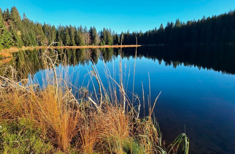 Herbststimmung am Kleinen Arbersee. Der Kleine Arbersee ist ein Juwel inmitten der waldreichen Landschaft des Lamer Winkels. Zu Zwecken der Holztrift wurde er einst angestaut. Wenn der Mensch nicht mehr eingreift, wird er irgendwann wieder verlanden – langsam, aber stetig. Weiteres Bildmaterial finden Sie unter www.br-foto.de. – Bild: BR/​Brigitte Kornberger