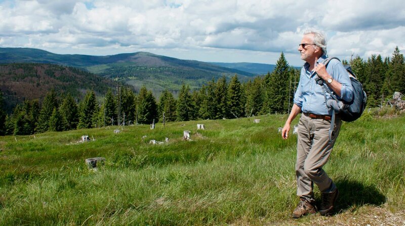 Herbert Pöhnl im Nationalpark Bayerischer Wald. – Bild: BR/​Jürgen Eichinger
