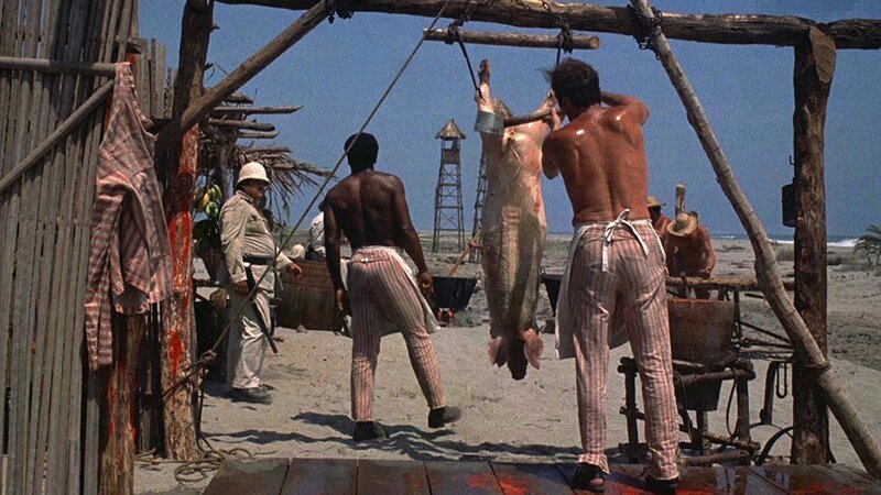 . – Bild: Silverline