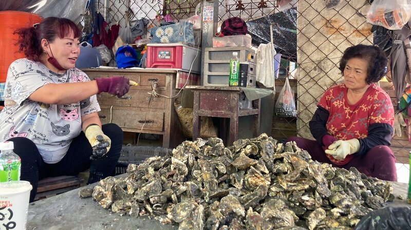 Im Dorf der Austern-Knackerinnen: Mehrere Tonnen der Muscheln werden täglich in Dongshi geerntet und geöffnet. Dafür sind die Frauen zuständig, doch während der mühsamen Arbeit bleibt auch immer Zeit für den neuesten Klatsch und Tratsch. – Bild: NDR/​Julian Ringer