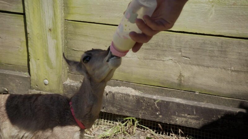 . – Bild: Warner Bros. Discovery