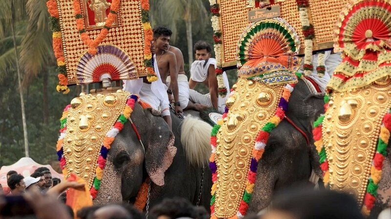 Farbenfrohe Elefantenparade: Das Thrissur Puram-Fest steht ganz im Zeichen der Dickhäuter. – Bild: Phoenix/​ZDF/​Ampersand