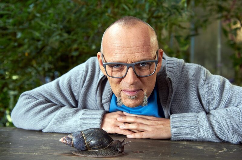 Auch wenn man es Ihr nicht ansieht, die Gehäuseschnecke ist ein spannendes Tier! Biologen haben zwei Unterarten der Gehäuseschnecke entdeckt, die sich auf ungewöhnliche Weise gegen Angreifer wehren: Sie schlagen mit ihrem Haus nach dem Angreifer. Mehr zu den wehrhaften Schnecken bei Wissen vor acht – Natur. – Bild: ARD/​Melanie Grande