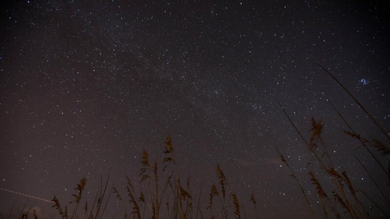 Sternenhimmel – Bild: WELT