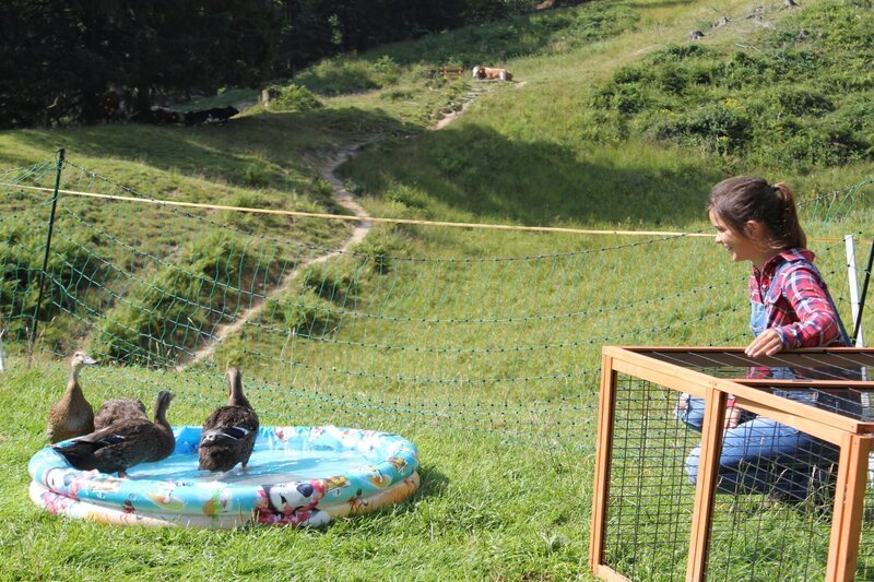 Die Enten sind drei Nummern größer geworden. Anna hat für die Vögel ein neues Schwimmbecken organisiert. Das gibt eine lustige Poolparty. – Bild: BR/​TEXT + BILD Medienproduktion GmbH & Co. KG