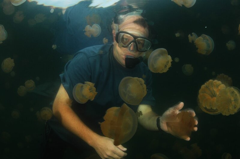 Riaan with jellyfish. – Bild: PLURIMEDIA (Parthenon /​ Aquavision)