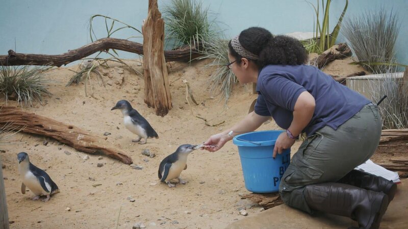 . – Bild: Warner Bros. Discovery