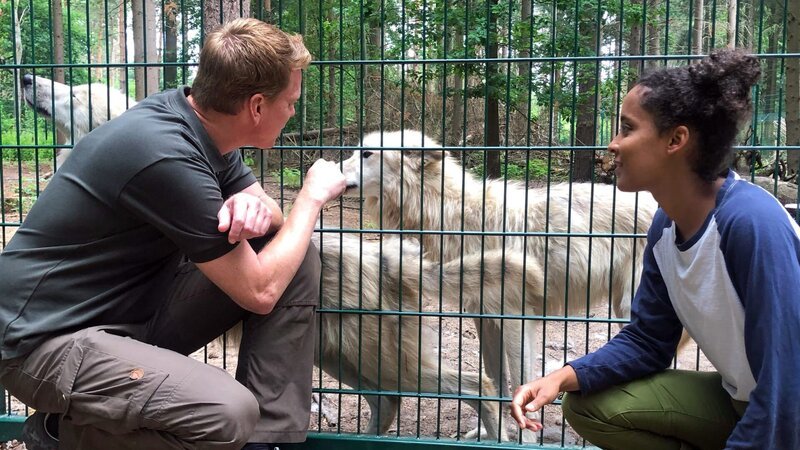Pia beobachtet fasziniert, wie zutraulich die Jungwölfin Luna ist. Sie lebt seit einem Jahr im Wolfcenter Dörveden. Links: Frank Faß, Leiter des Wolfcenters. – Bild: BR/​Text und Bild Medienproduktion GmbH & Co. KG/​Kathrin Gutzeit