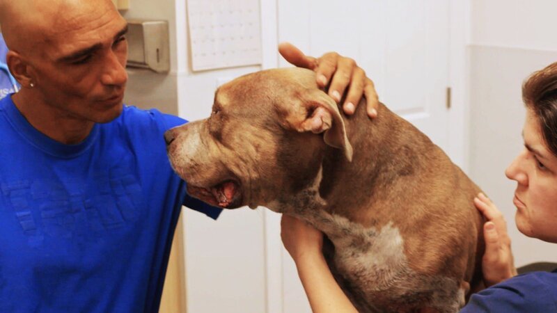 Toney and dog at vet – Bild: Animal Planet /​ Photobank. /​ Discovery Communications, LLC