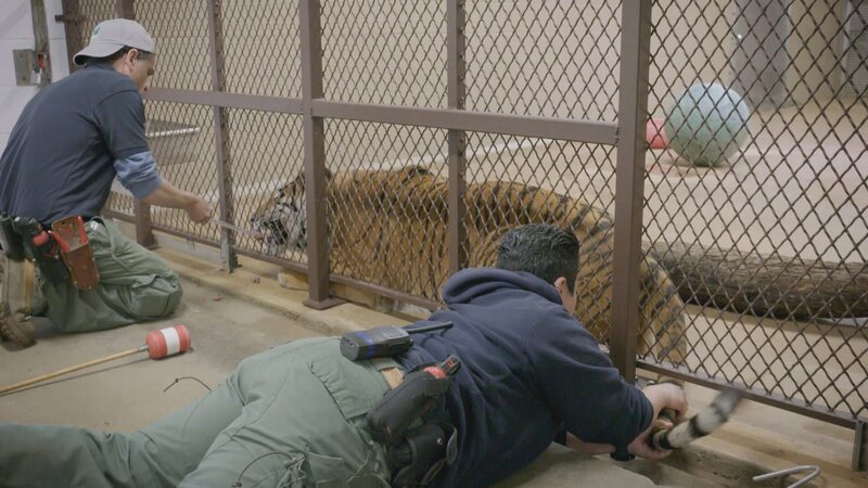 . – Bild: Warner Bros. Discovery