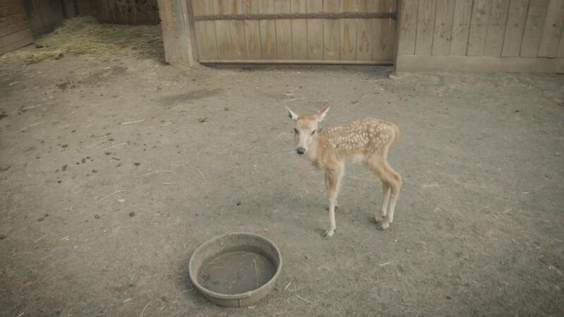 . – Bild: Warner Bros. Discovery