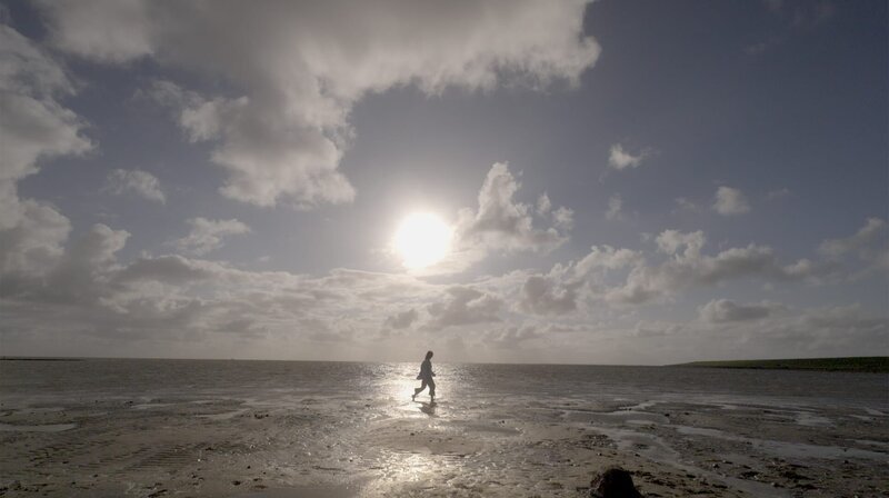 Einzigartig: Das Wattenmeer der Nordsee gehört zum UNESCO-Welterbe. – Bild: NDR/​Moritz Schwarz/​Felix Korfmann