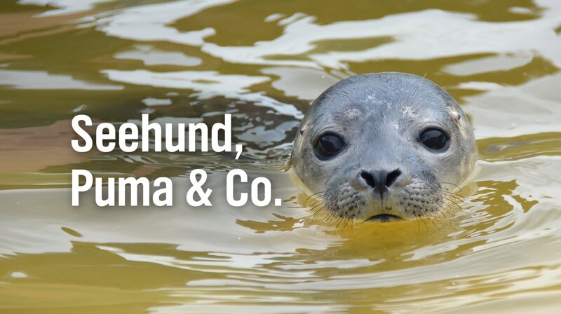 Key Visual – Bild: Oliver Heissner