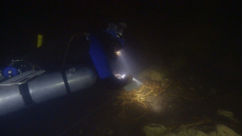 Wissenschaftlerinnen und Wissenschaftler erforschen mit moderner Technologie, wie es den Maya gelang, sich neu zu erfinden. – Bild: ZDF