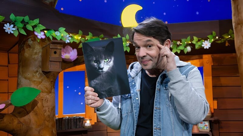 Warum sind Katzen so besonders? 1 – Bild: KiKA