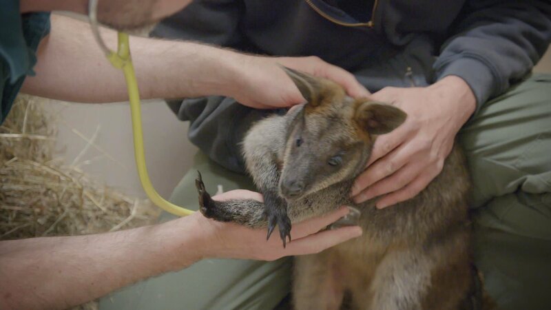 . – Bild: Warner Bros. Discovery