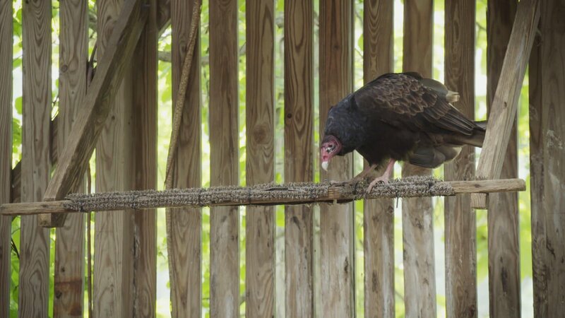 . – Bild: Warner Bros. Discovery