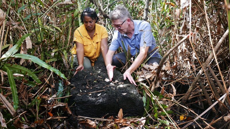Daniel Krieg und Jayschree Mungur-Medhi vor einem bearbeiteten Stein inmitten von Mangroven. – Bild: SRF/​Tilman Remme