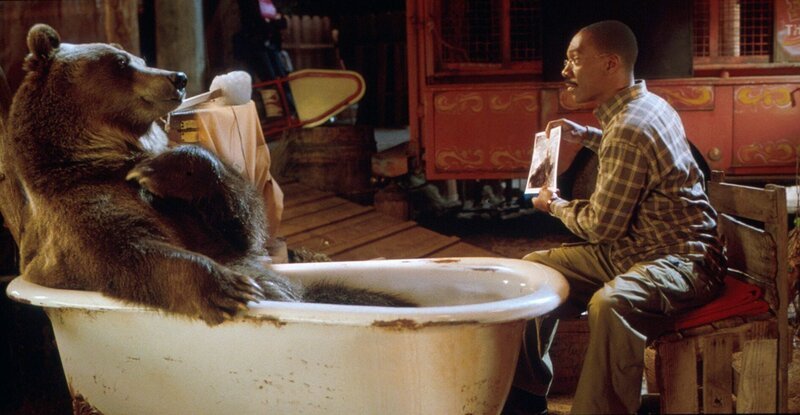 Gar nicht so einfach für Dr. Dolittle (Eddie Murphy) Archie (gesprochen von Kai Wiesinger) auf sein neues Leben im Wald vorzubereiten. Der Zirkusbär bevorzugt Schaumbäder. – Bild: SUPER RTL Gar nicht so einfach für Dr. Dolittle (Eddie Murphy) Archie (gesprochen von Kai Wiesinger) auf sein neues Leben im Wald vorzubereiten. Der Zirkusbär bevorzugt Schaumbäder. – Bild: SUPER RTL