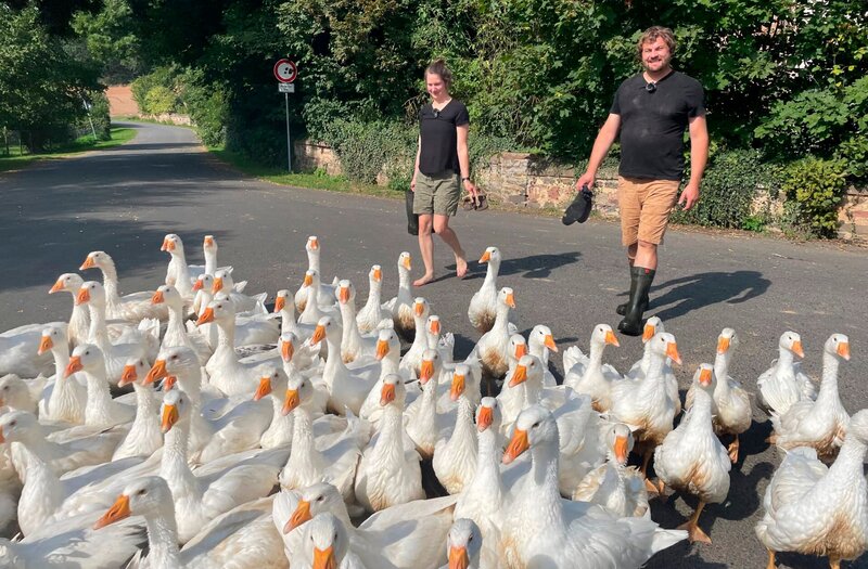 Aufgemischt - wie Franziskas Bauernhof ein Dorf bewegt – Bild: HR