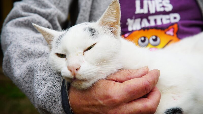 . – Bild: Warner Bros. Discovery