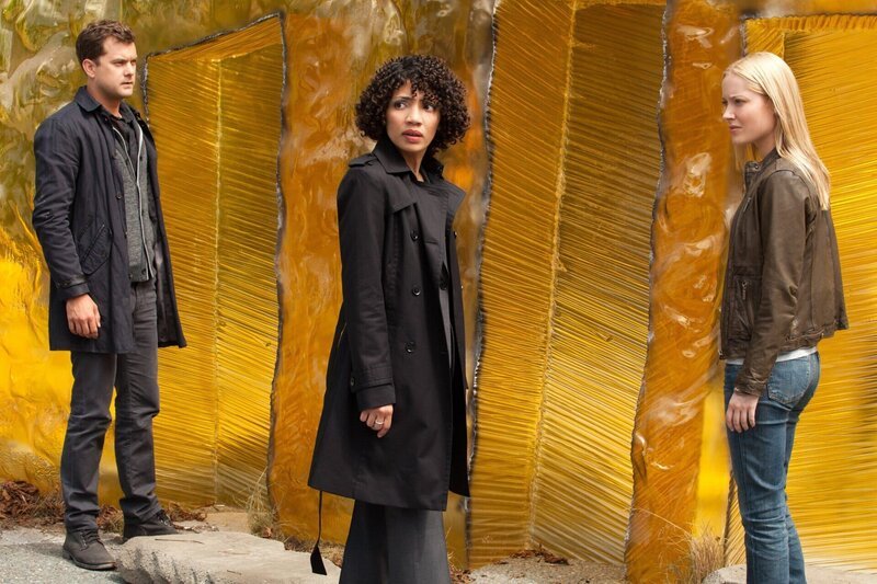 Ein Berg aus Bernstein ist Peters (Joshua Jackson, l.), Astrids (Jasika Nicole, M.) und Henriettas (Georgina Haig, r.) letzte Hoffnung, Olivia zu finden … – Bild: Warner tv