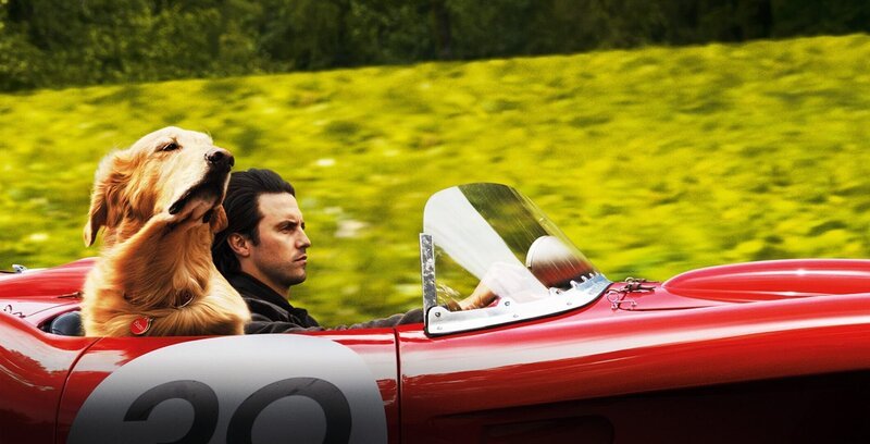 Milo Ventimiglia (Denny Swift). – Bild: ORF/Disney Milo Ventimiglia (Denny Swift). – Bild: ORF/Disney