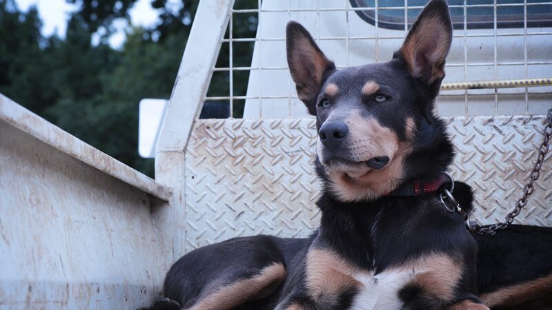 . – Bild: Warner Bros. Discovery