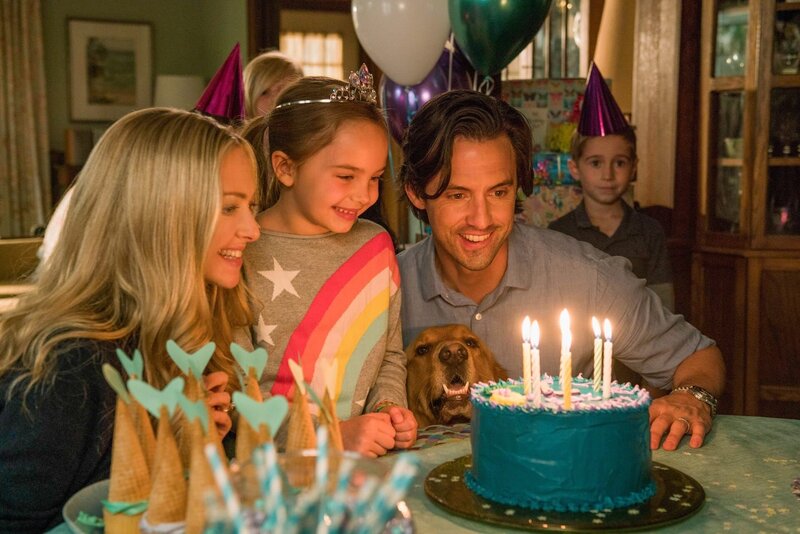 Enzo und die wundersame Welt der Menschen – Bild: ORF/​Disney/​Doane Gregory