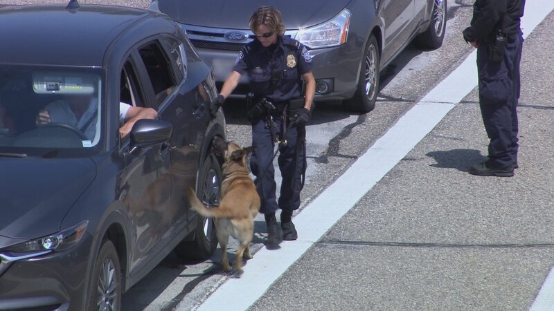 Bild: Licensed by Cineflix International