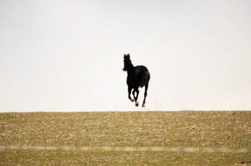 Bild: Turner /​ Nine Films and Television Pty Limited, Millennium Television Pty Limited