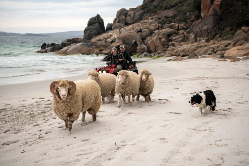 Besser wird's nicht – Bild: KinoweltTV