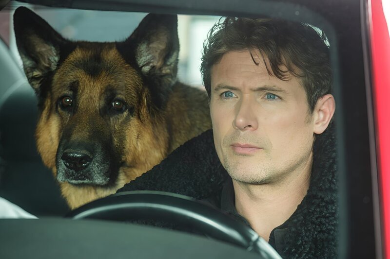 Rex (DIESEL VOM BURGIMWALD) and Charlie (JOHN REARDON) – Bild: Derm Cranberry /​ Shaftesbury Rex VI Inc. Pope Rex Season 6 Inc