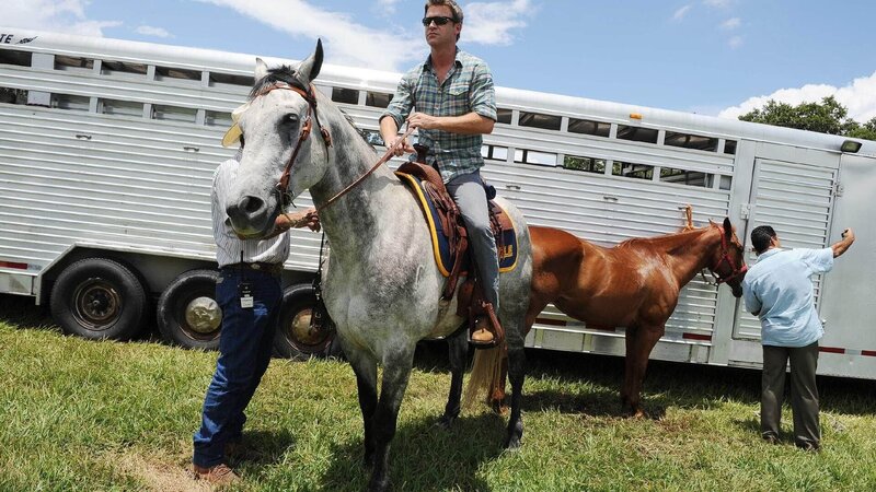 Jim Longworth (Matt Passmore) – Bild: TVNOW