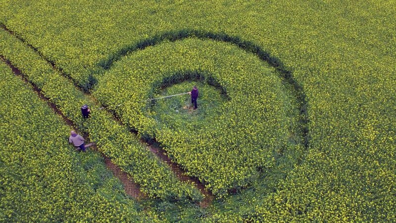 Auch wenn sie oft mit UFO-Landungen in Verbindung gebracht werden, können Kornkreise auch leicht von Menschenhand erstellt werden … – Bild: A+E Networks, LLC /​ HISTORY