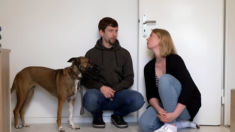 Jerome und Xenia mit „Sugar“. +++ Die Verwendung des sendungsbezogenen Materials ist nur mit dem Hinweis und Verlinkung auf RTL+ gestattet. – Bild: RTL /​ Mina TV /​ Folge 04_007