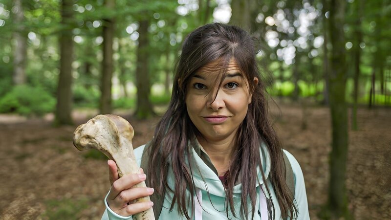 Der Graue Wanderer der Wildnis 1 – Bild: BR/​TEXT+BILD Medienproduktion GmbH & Co. KG/​Oliver Kratz