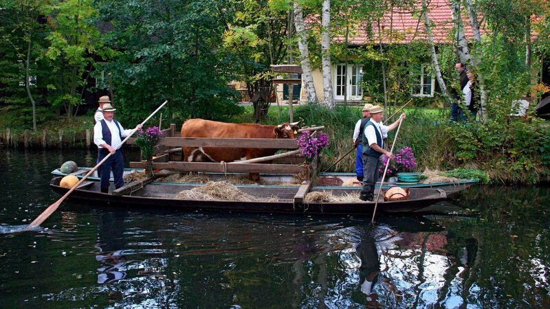 Der Kahnkorso im Herbst ist das größte Fest im Spreewaldort Lehde. Die Kähne sind bunt geschmückt und viele Einwohner tragen die sorbische Festtracht. – Bild: ZDF und NDR/​Christoph Hauschild