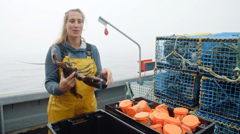 Seit der Kabeljau in den Gewässern überfischt wurde, ist Hummerfang die Haupteinnahmequelle für Fischer*innen wie Agathe Schmidt. – Bild: 3sat Seit der Kabeljau in den Gewässern überfischt wurde, ist Hummerfang die Haupteinnahmequelle für Fischer*innen wie Agathe Schmidt. – Bild: 3sat