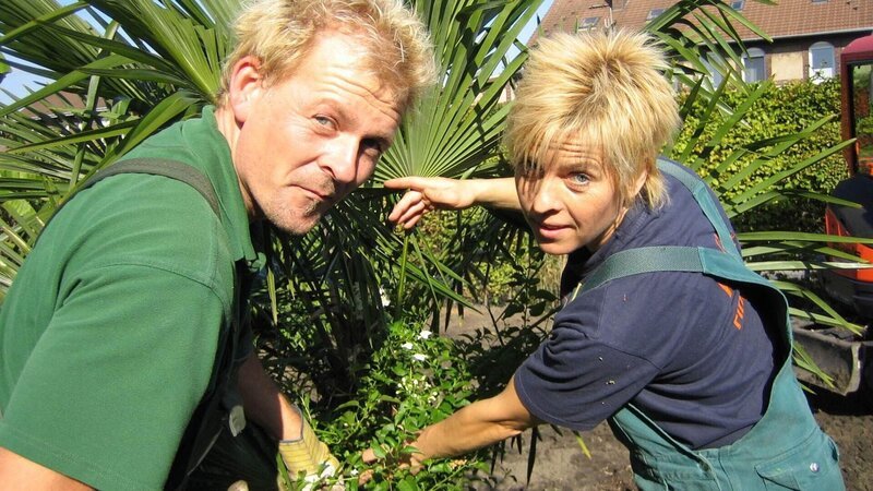 Die Landschaftsgärtner Susanne und Michael bringen den Zechenhaus-Garten auf Hochglanz: Mit Palmen, Bananenstauden und mediterranen Gewächsen holen sich die beiden den Süden ins Ruhrgebiet! – Bild: RTL /​ Tokee Bros./​MP
