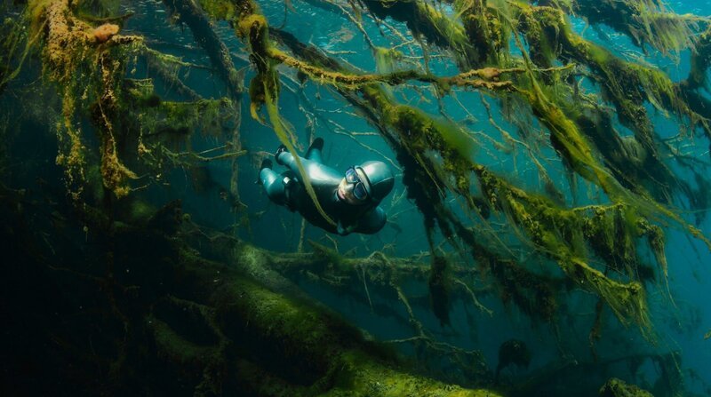 Anna von Boetticher im Wald des Kreidesee Hemmoor. – Bild: ZDF und NDR/​Tobias Friedrich