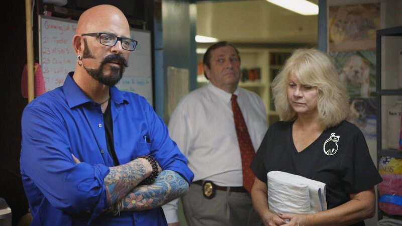 Jackson Galaxy. – Bild: Warner Bros. Discovery