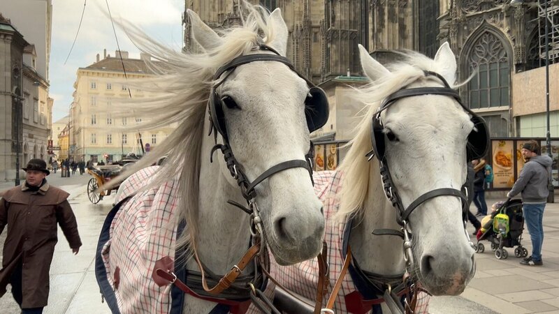 Der Stephansdom im Jahreskreis – Bild: ORF/​emb film