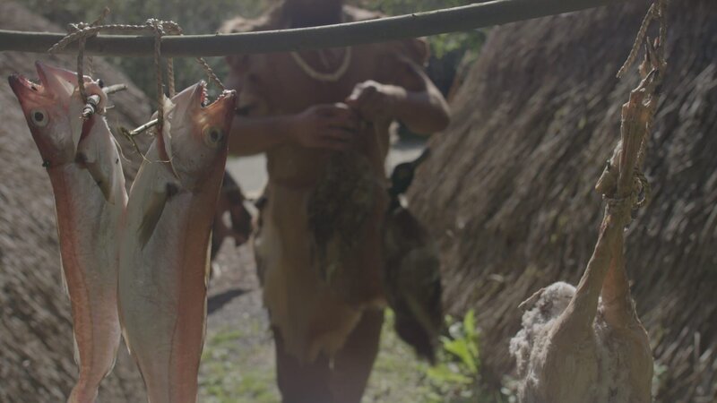 Vor etwa 9.000 Jahren durchstreifen dunkelhäutige, blauäugige Jäger und Sammler den europäischen Kontinent. – Bild: ZDF und Tile Films Ltd.