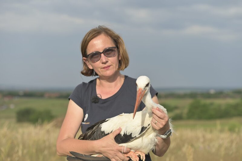 Storchenretterin Miruna Gritu bei der Auswilderung – Bild: MDR/​Jan Siegmeier
