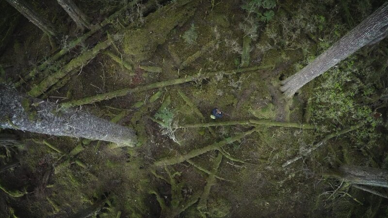PORT PROTECTION, ALASKA- Mary hunts for black bear. (Photo Credit: National Geographic Channels/​Jesse Phinney) – Bild: Copyright © The National Geographic Channel.