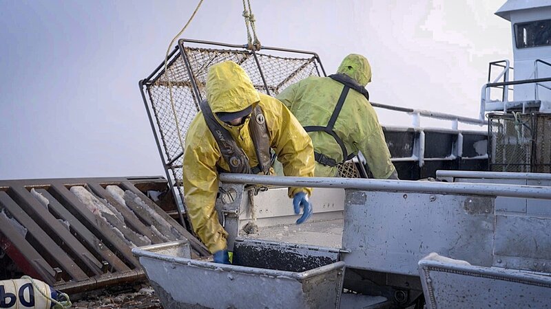 Wizard crew sorting crab at the table – Bild: Warner Bros. Discovery, Inc. or its subsidiaries and affiliates