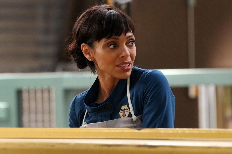 Camille Saroyan (Tamara Taylor) – Bild: ATV