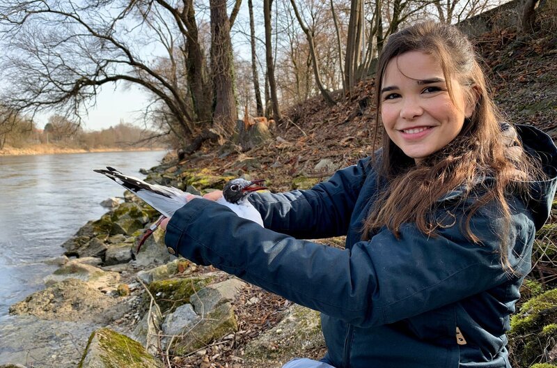 Anna hält eine kürzlich beringte Lachmöwe in der Hand. – Bild: BR/​TEXT + BILD Medienproduktion